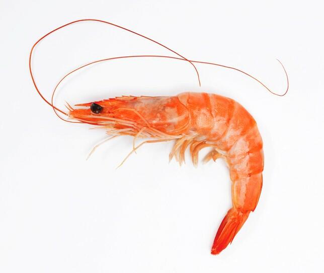 Lb Whole Shrimp